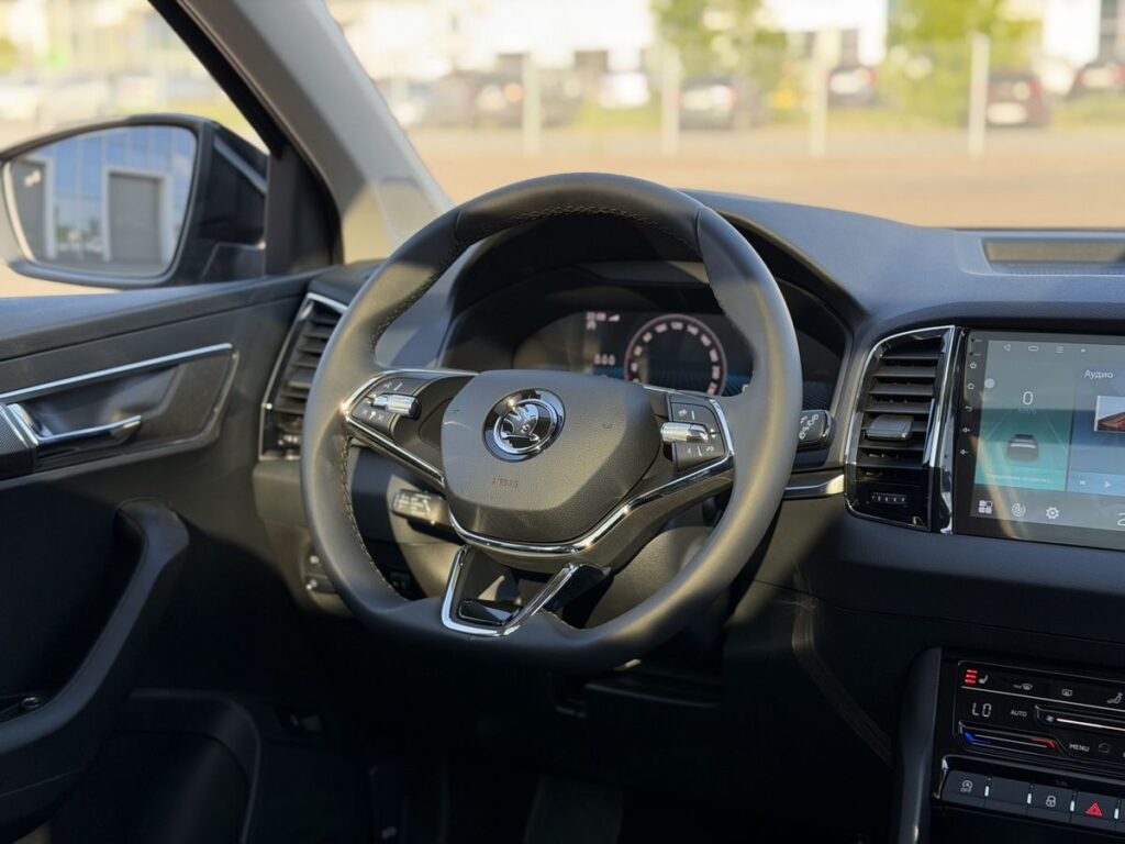 Skoda Karoq 2025 - Фото 19