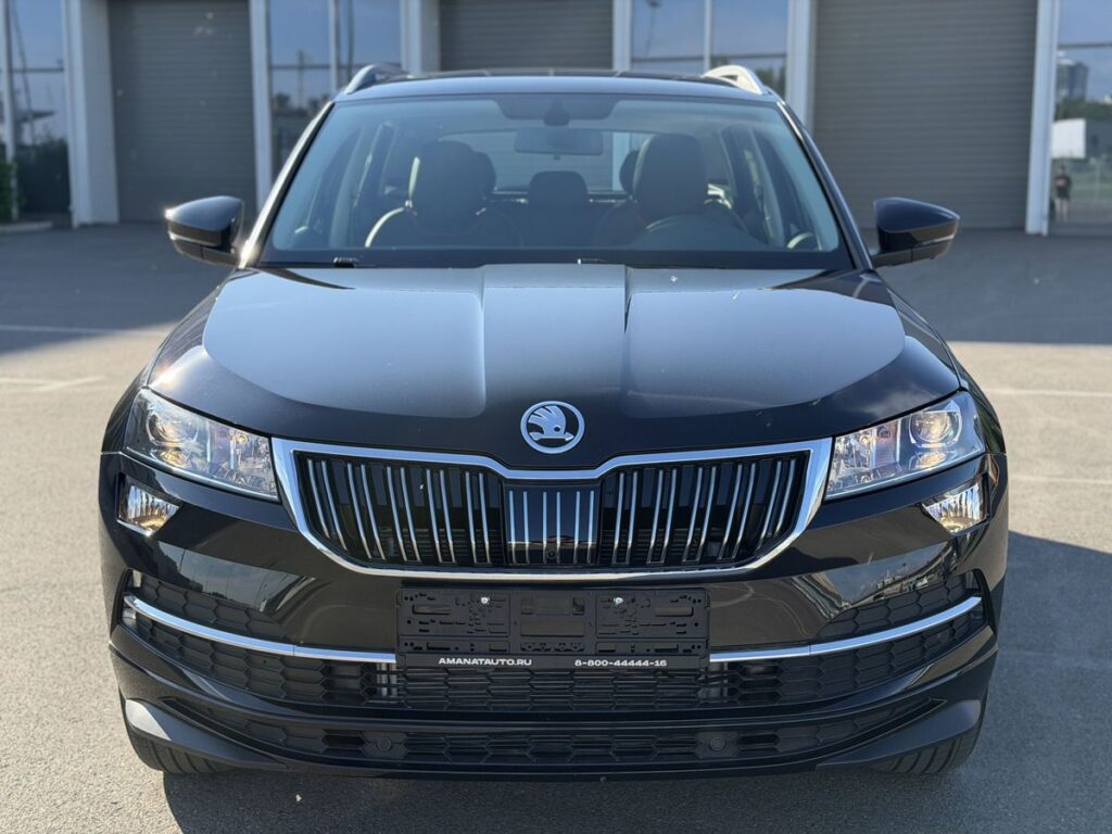 Skoda Karoq 2025 - Фото 1
