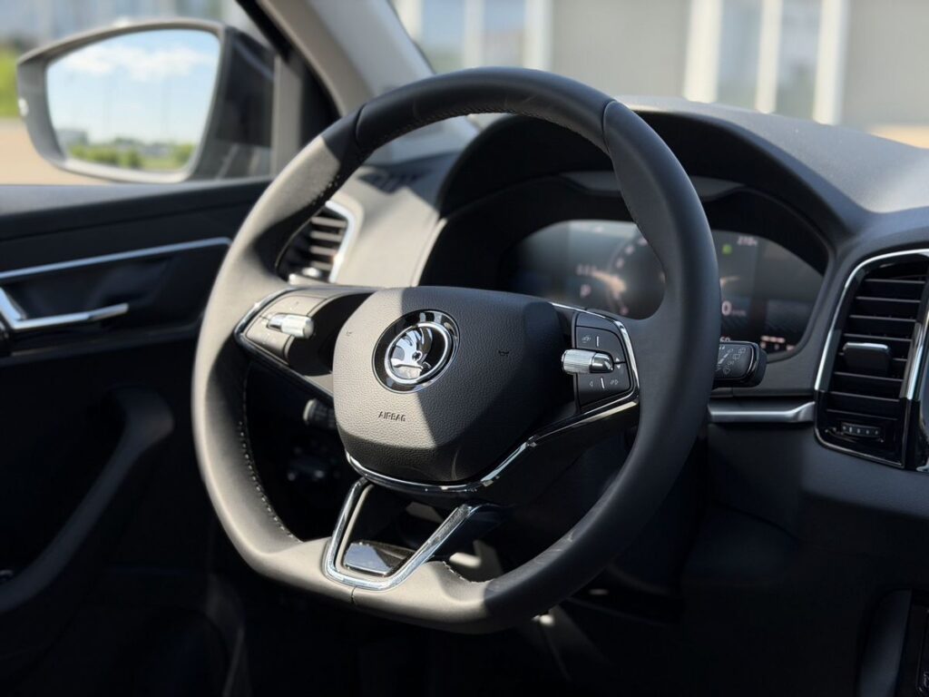 Skoda Karoq 2025 - Фото 19