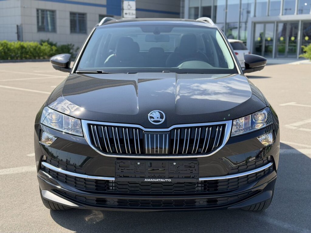 Skoda Karoq 2025 - Фото 1