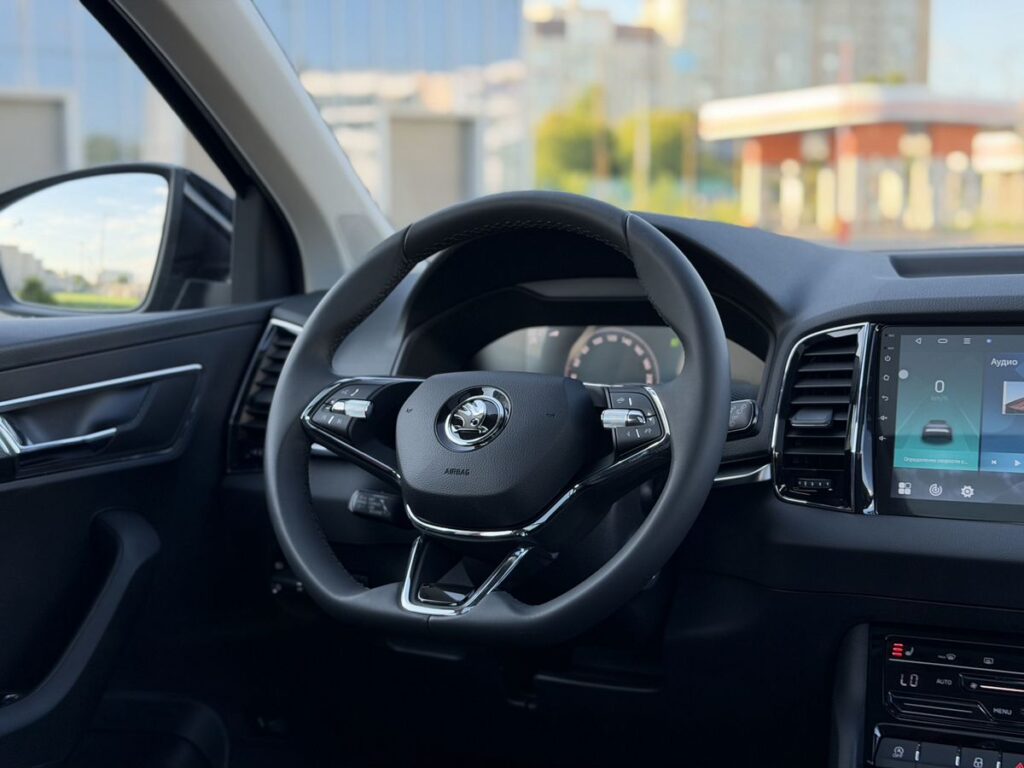 Skoda Karoq 2025 - Фото 19
