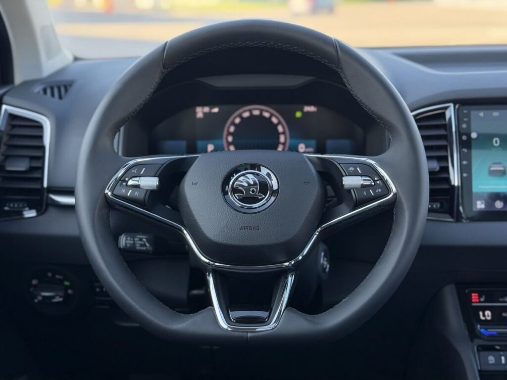 Skoda Karoq 2025 - Фото 20